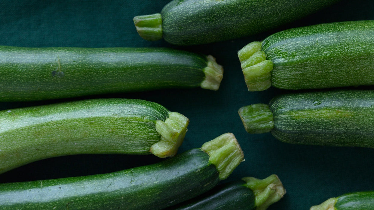 Zucchini_Biocarve